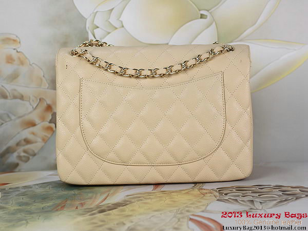 Chanel Classic Flap Bag Apricot Original Cannage Patterns Leather Gold