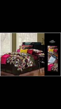 Replica HERMES Bedclothes Four Pieces Set_C