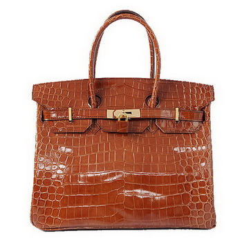 Hermes Birkin 35CM Tote Bag Brown Iridescent Croco Leather Gold