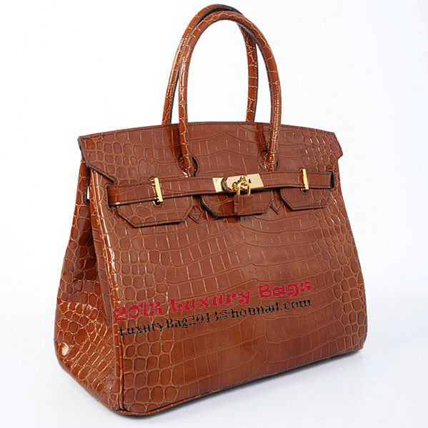 Hermes Birkin 35CM Tote Bag Brown Iridescent Croco Leather Gold