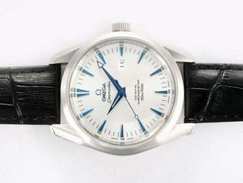 Omega Seamaster Replica Watch OM8030AZ