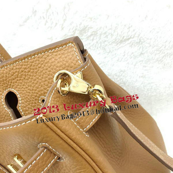 Hermes Birkin 25CM Tote Bag Original Leather H25T Wheat