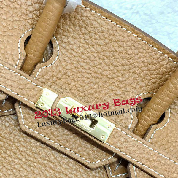 Hermes Birkin 25CM Tote Bag Original Leather H25T Wheat