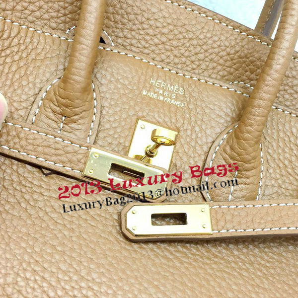 Hermes Birkin 25CM Tote Bag Original Leather H25T Wheat