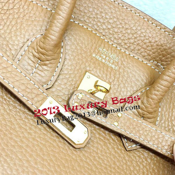 Hermes Birkin 25CM Tote Bag Original Leather H25T Wheat