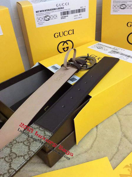 GUCCI Belt G1266 Brown