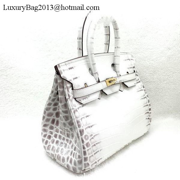 Hermes Birkin 25CM Tote Bag Croco Leather H25TCO OffWhite