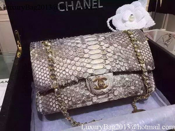 Chanel 2.55 Series Flap Bags Gray Original Python Leather A1112SA Gold