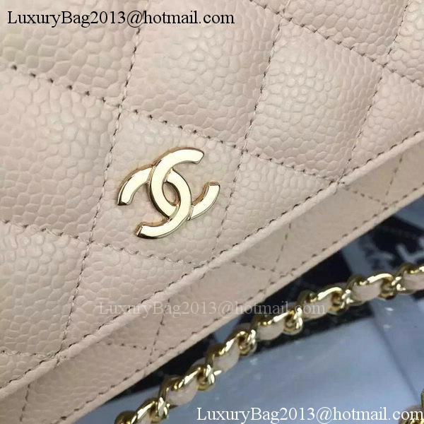 Chanel mini Flap Bag Cannage Pattern A8373 Apricot