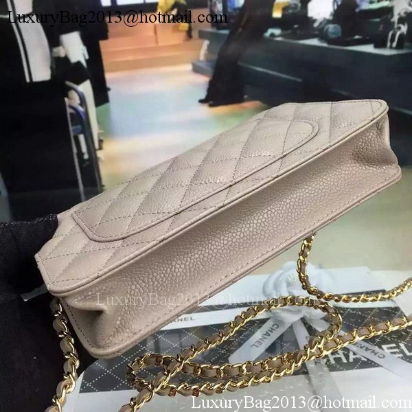 Chanel mini Flap Bag Cannage Pattern A8373 Grey