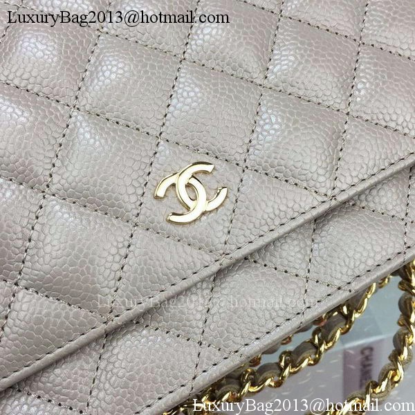 Chanel mini Flap Bag Cannage Pattern A8373 Grey