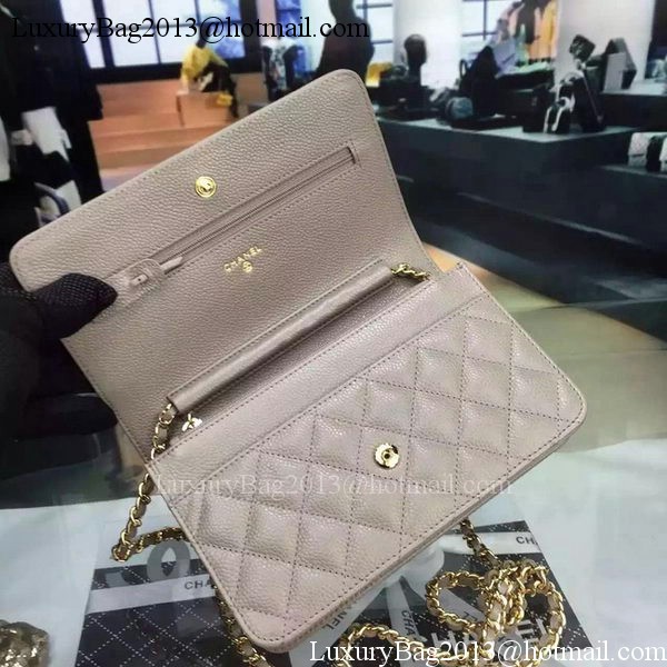 Chanel mini Flap Bag Cannage Pattern A8373 Grey