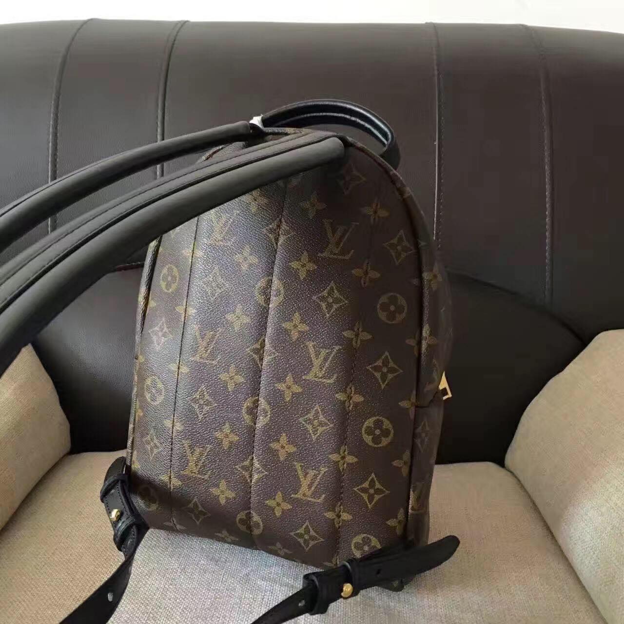 Louis Vuitton Monogram Canvas Palm Springs Backpack Mini M41562