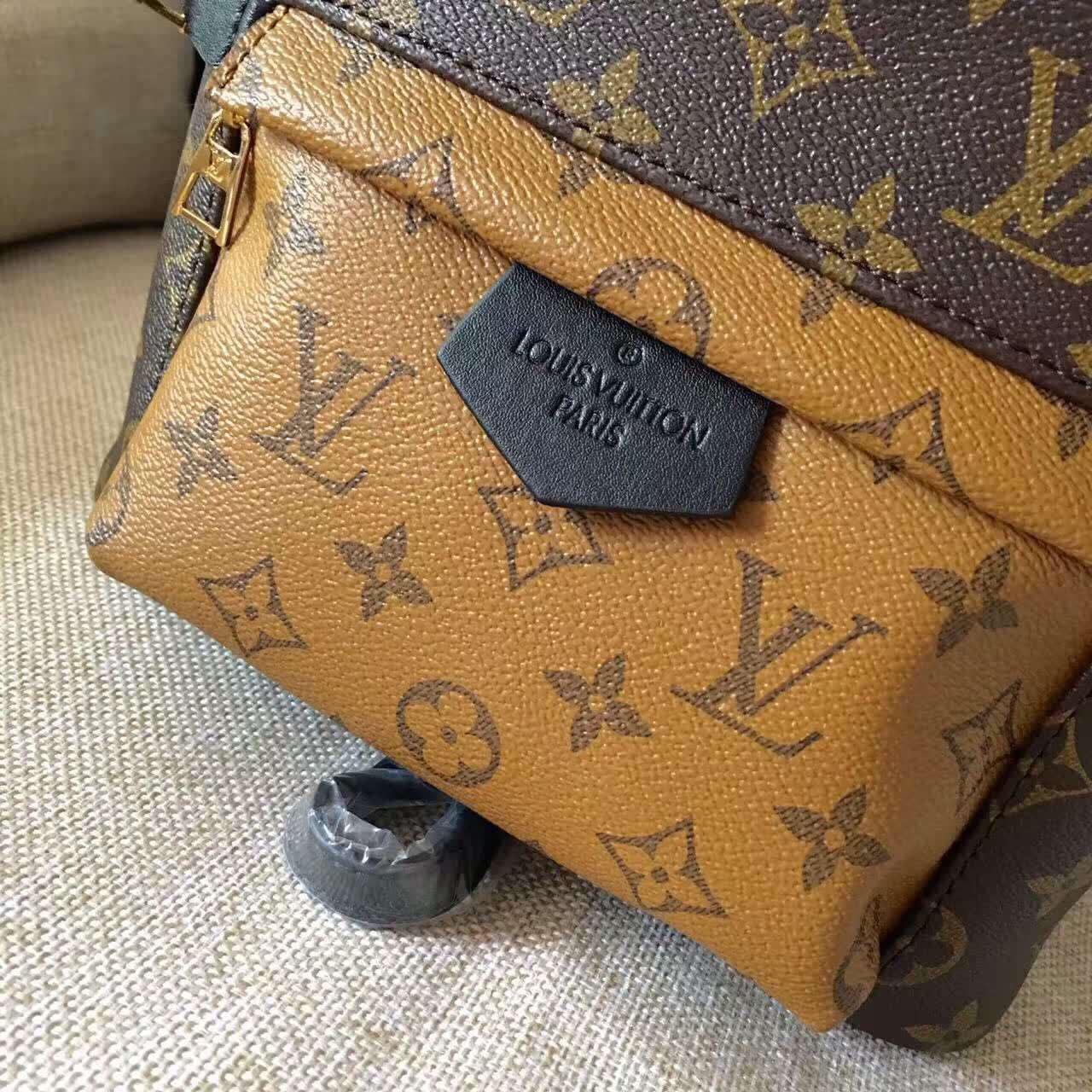 Louis Vuitton Monogram Canvas Palm Springs Backpack Mini M41562