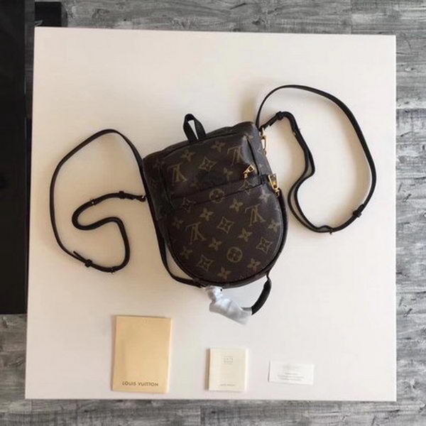 Louis Vuitton Monogram Canvas PALM SPRINGS BACKPACK MINI M41562