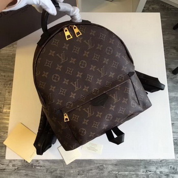 Louis Vuitton Monogram Canvas PALM SPRINGS BACKPACK MM M41561