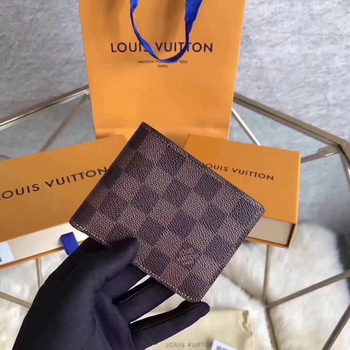 Louis Vuitton Damier Ebene Canvas MULTIPLE WALLET N60895