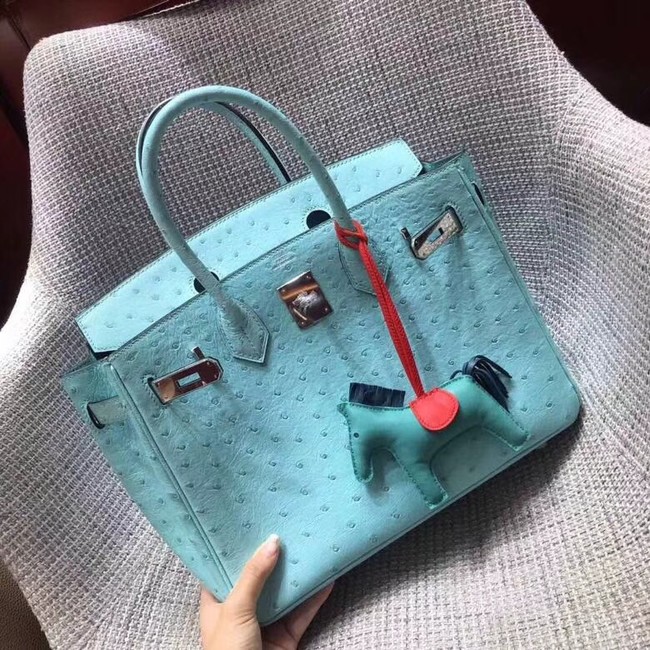 Hermes Real ostrich leather birkin bag BK35 sky blue