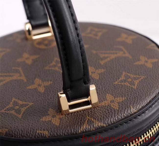 Louis Vuitton VANITY BAG M62788