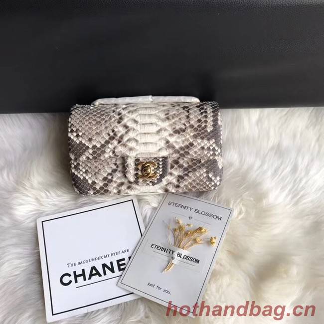 Chanel Mini Flap Bag Python & Gold-Tone Metal A69900 grey