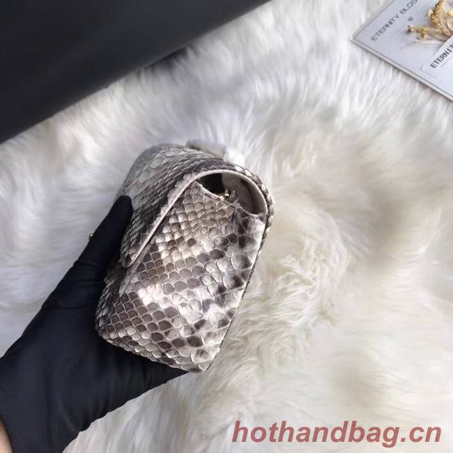 Chanel Mini Flap Bag Python & Gold-Tone Metal A69900 grey