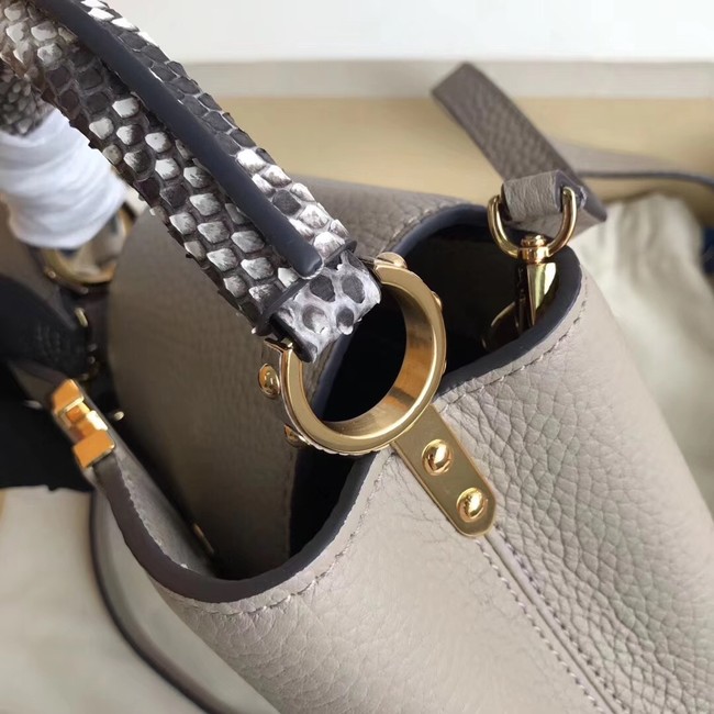 Louis vuitton original CAPUCINES MINI N94047 grey