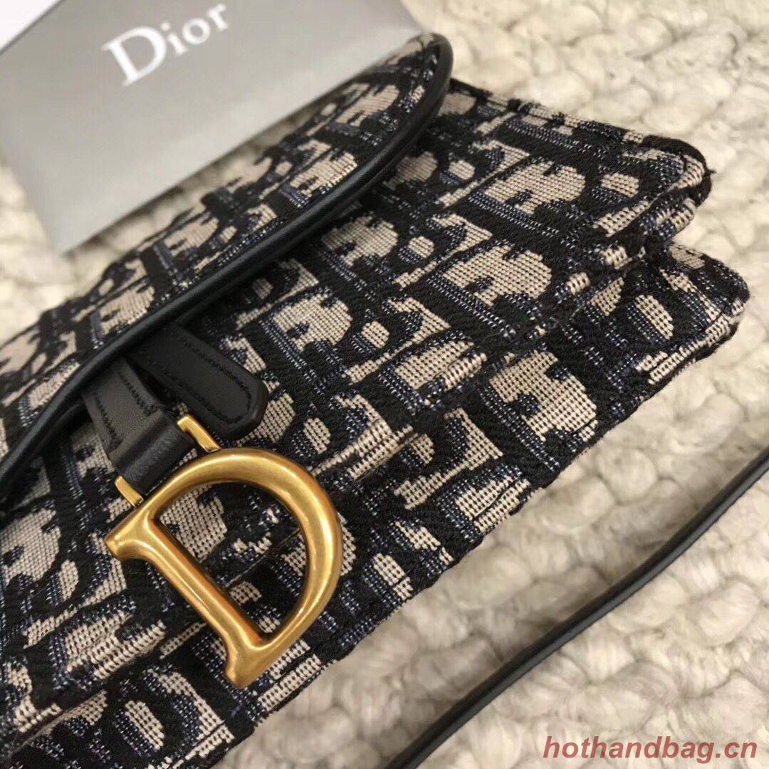 DIOR Oblique Belt Bag D26988