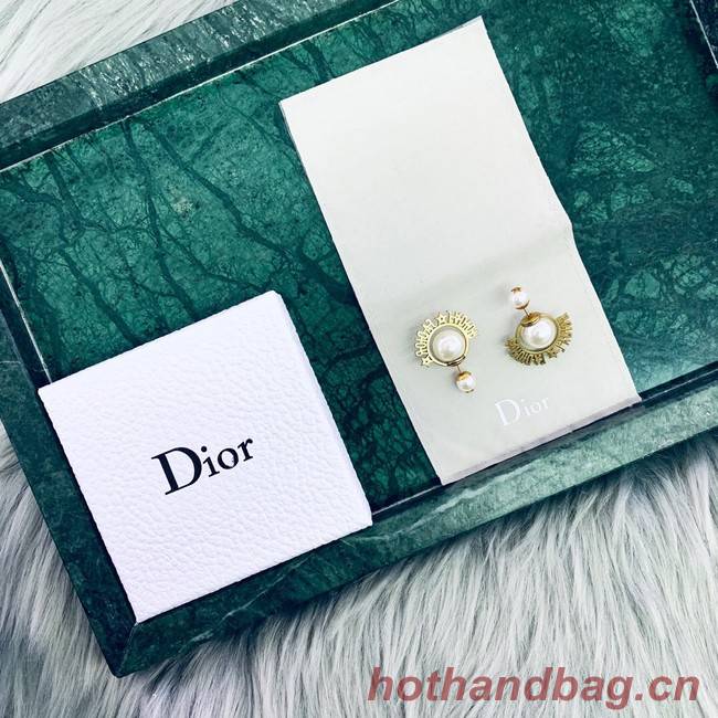 Dior Earrings CE2020