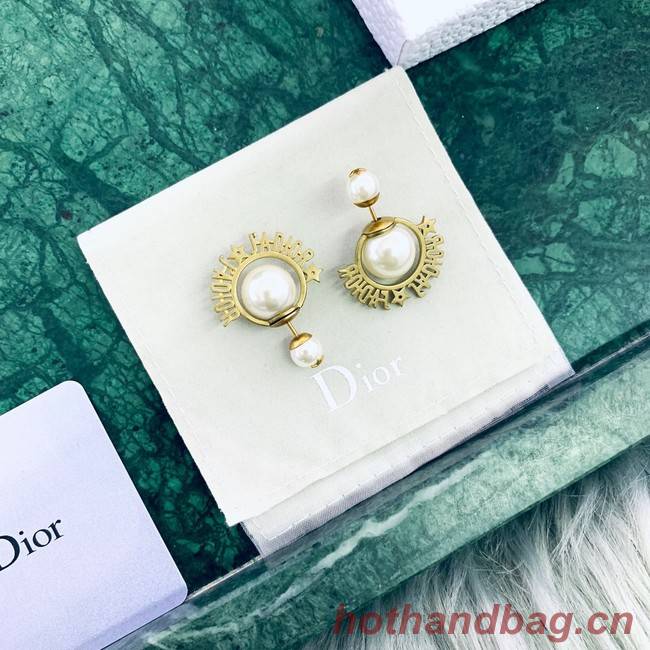 Dior Earrings CE2020