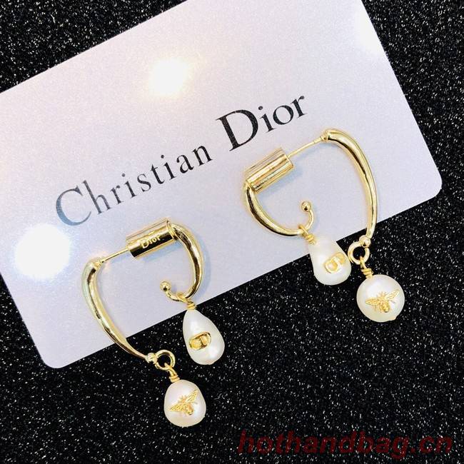 Dior Earrings CE2021