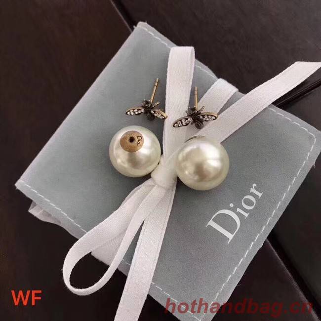 Dior Earrings CE2061