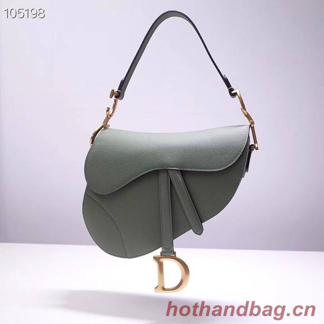 Dior SADDLE-TAS VAN KALFSLEER M0446CW green