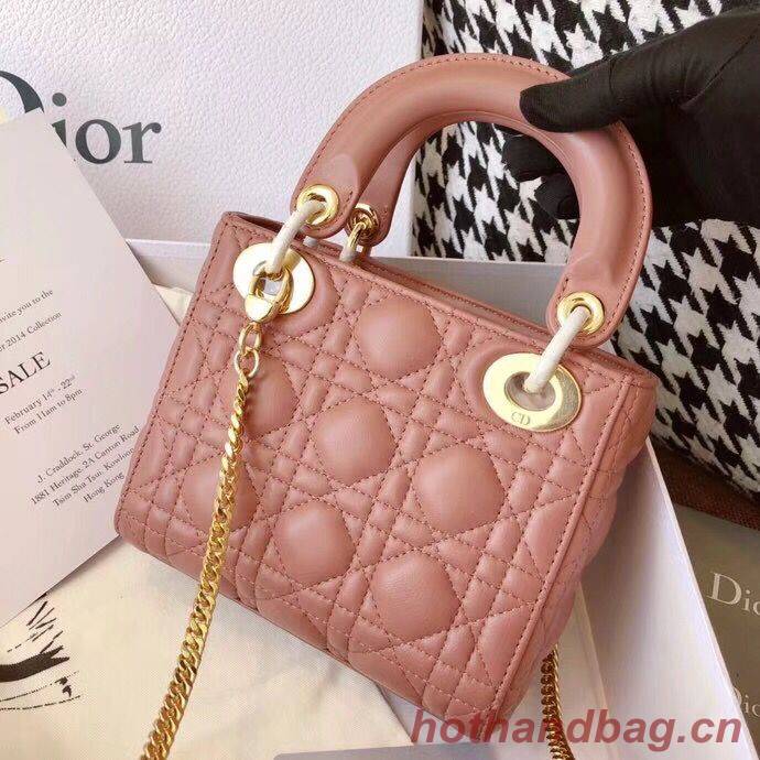 MINI LADY DIOR-TAS VAN ROZE LAMSLEER M398