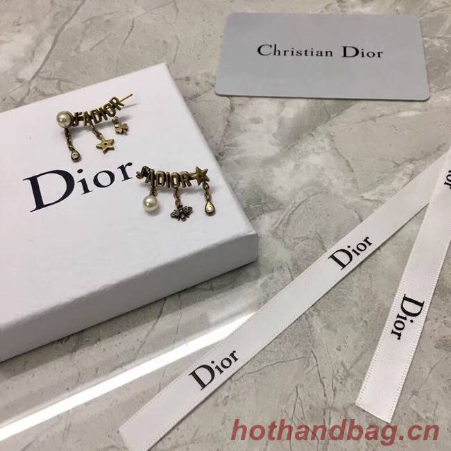 Dior Earrings CE2135