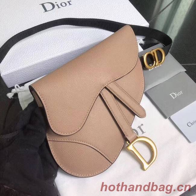 Dior SADDLE-CLUTCH VAN KALFSLEER S5632C pink