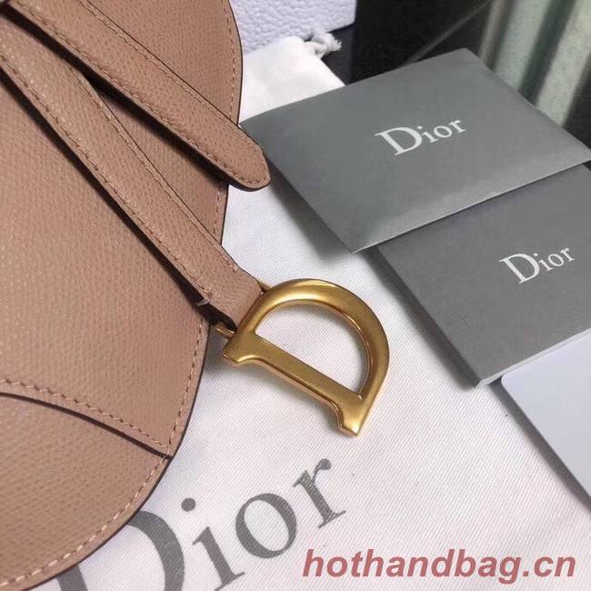 Dior SADDLE-CLUTCH VAN KALFSLEER S5632C pink