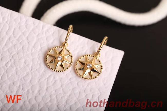 Dior Earrings CE2157