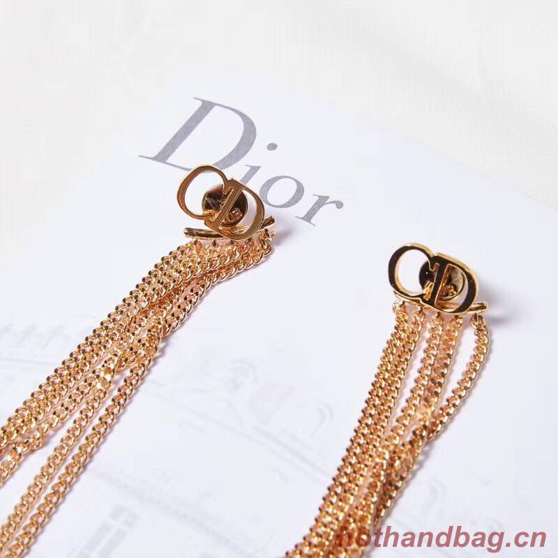 Dior Earrings CE2190