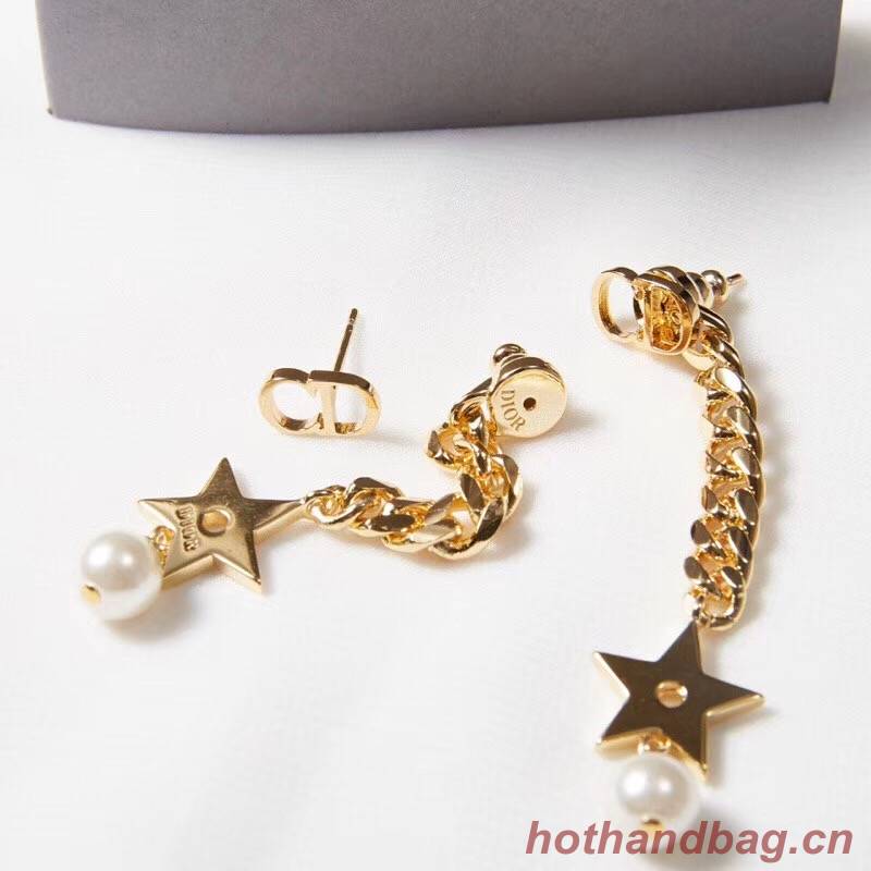 Dior Earrings CE2191