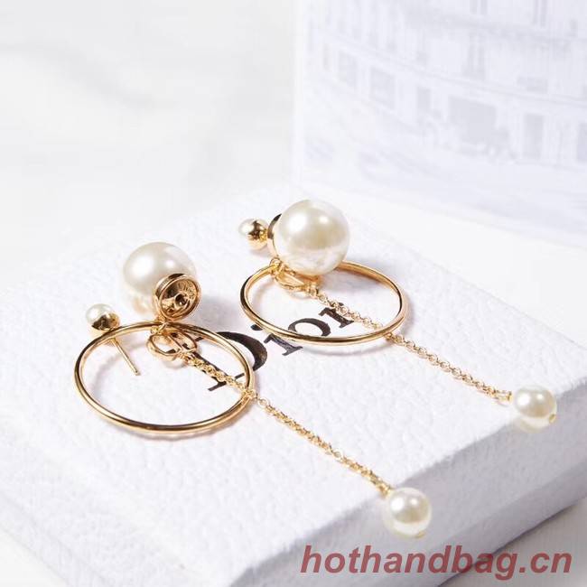 Dior Earrings CE2215