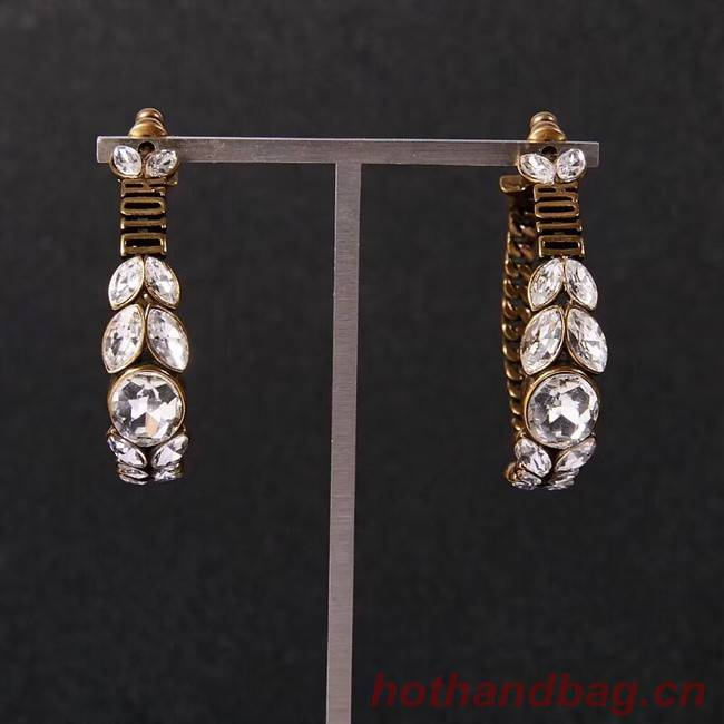 Dior Earrings CE2279