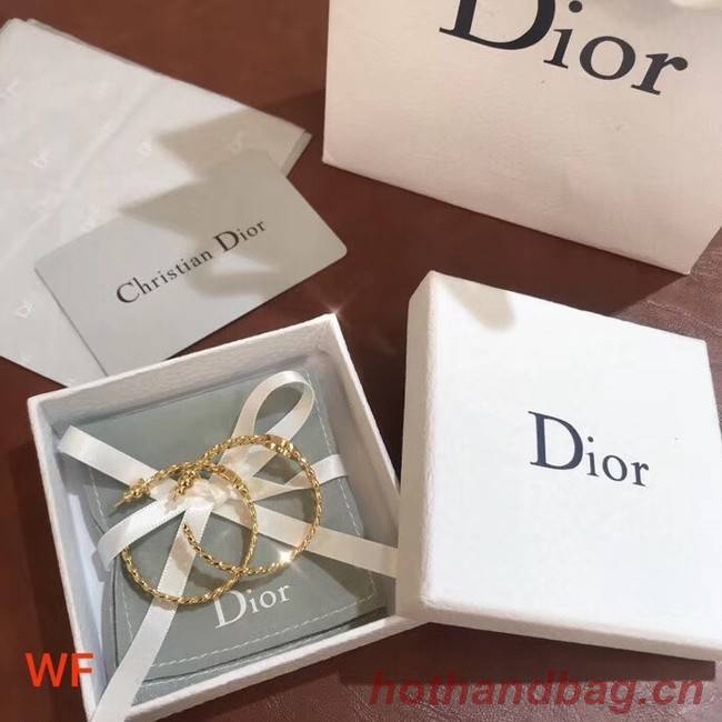 Dior Earrings CE2294