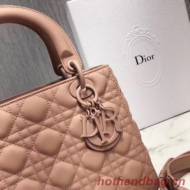 Dior ULTRAMATTE LADY DIOR-TAS M0565S pink