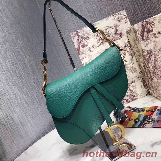 Dior SADDLE-TAS VAN KALFSLEER M0446C green