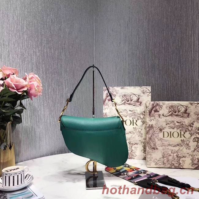 Dior SADDLE-TAS VAN KALFSLEER M0446C green