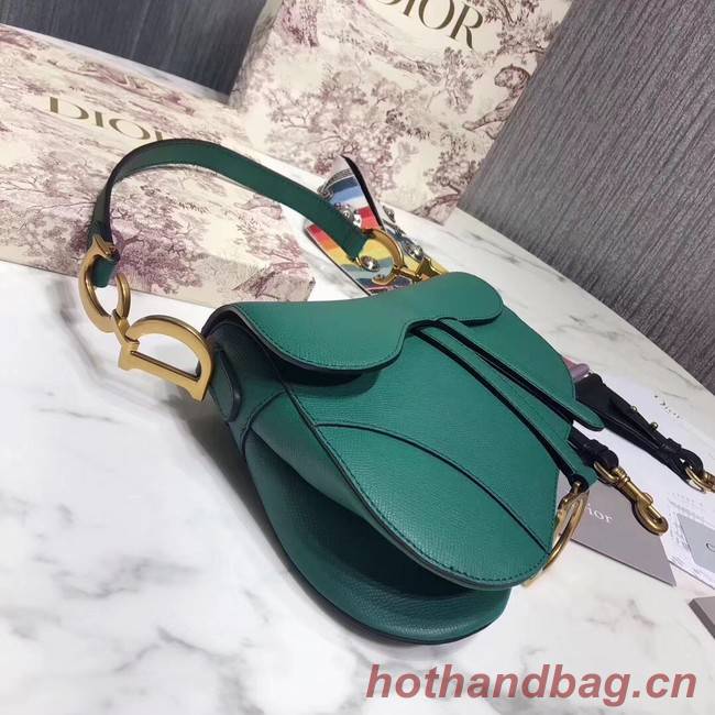 Dior SADDLE-TAS VAN KALFSLEER M0446C green