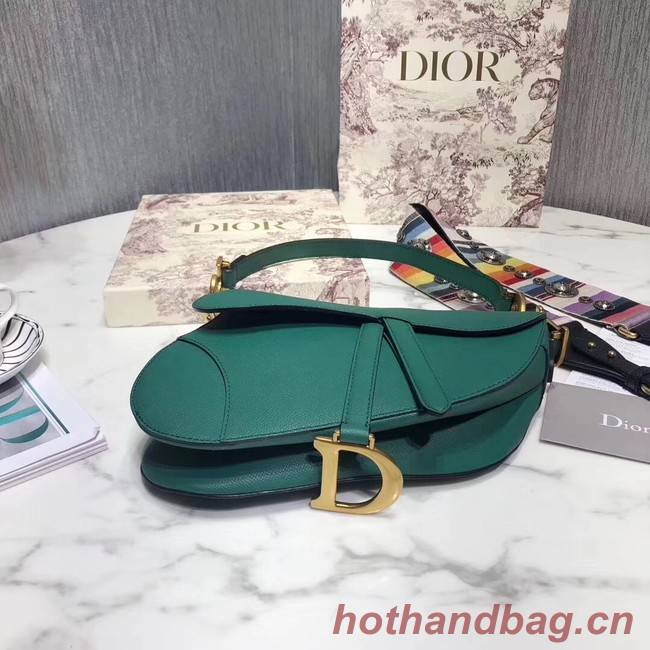 Dior SADDLE-TAS VAN KALFSLEER M0446C green