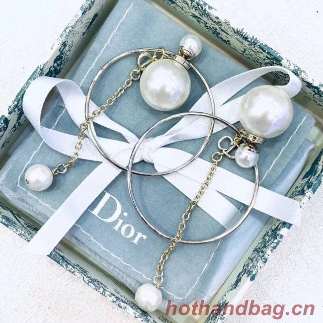 Dior Earrings CE2352