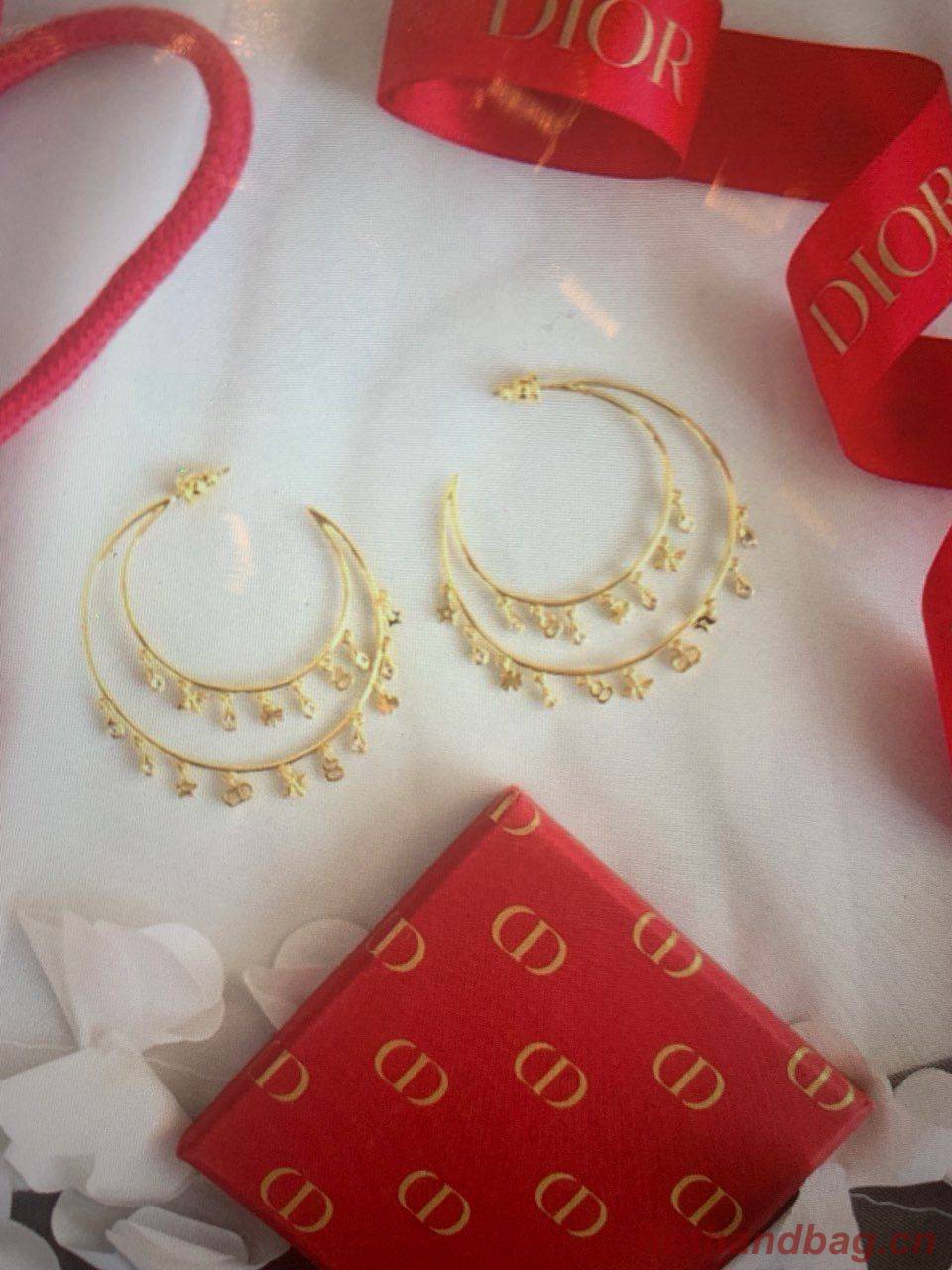 Dior Earrings D23890