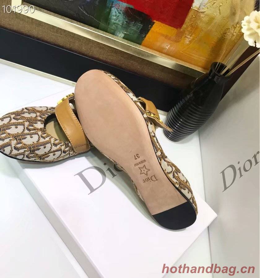 Dior shoes Dior639H-4